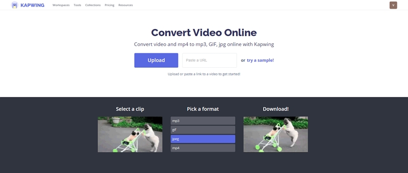 convert video to jpg online